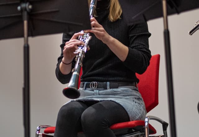 vrouw die instrument speelt