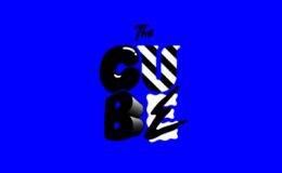 Logo The Cube